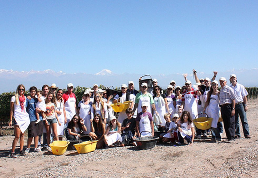 Organización del primer viaje de Vendimia de propietarios de Finca Propia